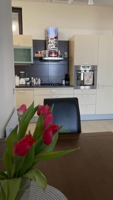 Apartment Marina Рийека Екстериор снимка